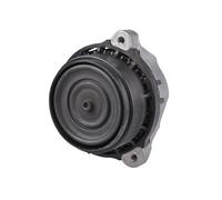 TEDGUM TED23794 Sospensione, Motore per ALPINA,BMW