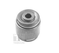 TEDGUM TED48244 Supporto, Braccio oscillante per CHEVROLET,DAEWOO