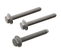 TEDGUM TED53007 Bullone, Braccio trasversale