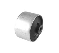 TEDGUM TED58102 Supporto braccio oscillante bilaterale, Anteriore, Posteriore, inferiore Silent Block Silent block Silentblock braccio oscillante