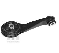Supporto motore posteriore Cuscinetto gomma-metallo TED84313 TEDGUM per RENAULT
