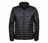 Teejays Giacca imbottita Uomo (BC3834)