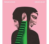 Teenage Fanclub Endless Arcade (Vinyl LP)