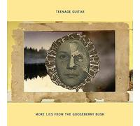 More Lies From The Gooseberry Bush - Teenage Guitar (Audio cd)