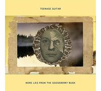 Teenage Guitar - More Lies From The Gooseberry Bush
