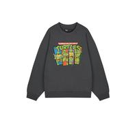 Teenage Mutant Ninja Turtles Grigio Retro Sweatshirt Felpa Uomini