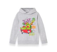 Teenage Mutant Ninja Turtles Grigio Shell Skater Felpa Ragazzi