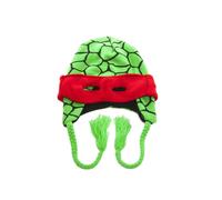 Teenage Mutant Ninja Turtles Laplander Raphael