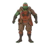 Teenage Mutant Ninja Turtles The Last Ronin IDW Comics: FLASHBACK MICHELANGELO -