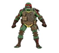 Teenage Mutant Ninja Turtles The Last Ronin IDW Comics: RAPHAEL First to Fall -