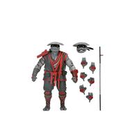 Teenage Mutant Ninja Turtles The Last Ronin: Lost Year IDW Comics: DONATELLO NIG