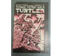 TEENAGE MUTANT NINJA TURTLES VOL. 1 #1 (3RD PRINTING 2/1985) FN+
