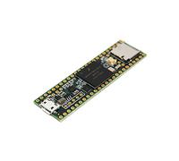 Teensy 3.6 (Senza Perni)