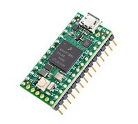 Teensy 4.0 (con Perni)