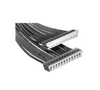 Teensy TE Connectivity AMP CT femmina, 2 mm, 3 poli/1 fila dritta, 50 pezzi