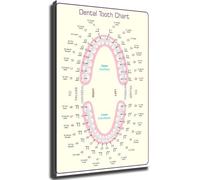 Teeth Numbering Chart Posters - Wall Art Canvas Prints for Dental Clinic - Professional Decor for Office and Healthcare Room(Unframed,16x24inch(40x60cm))