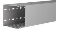 tehalit DNG canale pettinato tehalit.DNG DNG10010007030B