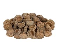 TEHAUX 150 Pezzi Tappi di Ghianda Naturali 1-2,5 Cm, Riempitivi per Vasi Fai da Te, Decorazioni a Forma di Ghianda la Casa, Centrotavola Autunnali per Natale e Ringraziamento,