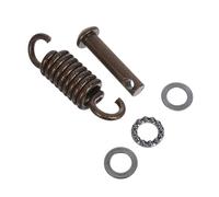 TEHAUX Kit Molle per Altalena Amaca in Metallo Resistente, Ganci a Molla per Appendere Sedia Sospesa da Esterno Spinotto e Ammortizzatore per Veranda, Accessori di Montaggio Stabili