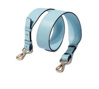 TEHDFG Cinghia for Borsa, Fibbia for Borsa, Parti di Ricambio for Borsa, Cinture for Borsa, Manici in Pelle con Fibbia for Donna, Borsa a Tracolla e Secchiello(Sky Blue,1 Piece with Gold)