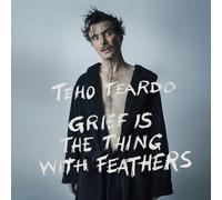 Teho Teardo - Grief is the thing with feathers