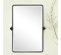 TEHOME Specchio da bagno rettangolare girevole da 20 x 76 cm, in bronzo lucidato a olio, con cornice inclinabile, smussato, specchi da vanità per parete