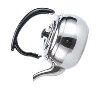 Teiera in Acciaio Inossidabile, Argento, Pratica e Sicura per Casa | Kettle Electric, Bollitore per Tisane, Design Classico Moderno, Accessorio Domestico, Resistente e Termoisolante