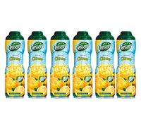 Teisseire Sciroppo di limone, 60 cl, 6 pezzi