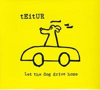 Teitur - Let The Dog Drive Home
