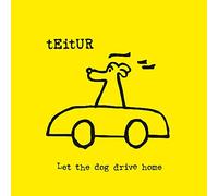 Teitur - Let the Dog Drive Home