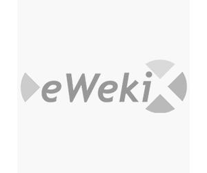 TEJZSPEAKWITCH10BTK SPEAKER WIRELESS 10W