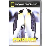 TeknoFilm - DVD - NATIONAL GEOGRAPHIC N° 48 - PINGUINI IMPERATORI DEI GHIACCI (2004) - NATIONAL GEOGRAPHIC