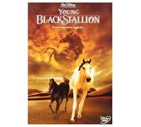 TeknoFilm - DVD - YOUNG BLACK STALLION di Simon Wincer (2003) - WALT DISNEY