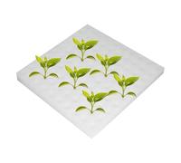 Teksome Spugne per Aerogarden,Spugne per Piantine Idroponiche | Attrezzo per Coltivazione e Germinazione di Lattuga e per Educazione in Aula Agricoltura Urbana Indoor e Outdoor