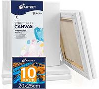 Tela allungata per pittura 20 x 25 cm, 10 pezzi, 300 g/m² Tripla Primed Senza Acidi 100% Cotone Tele per Arte Bianche per Acrilici Versare Pittura ad Acquerello ad Olio