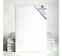 TELA ART-STAR 10 ~20x28, 50x70 cm | 100% cotone, pronto per la verniciatura, per principianti