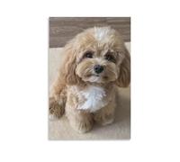 Tela artistica da parete 61 x 91 cm, un piccolo cane soffice con pelliccia marrone chiaro e bianca, seduto su un tappeto beige, dipinti decorativi per la casa, camera da letto (senza cornice)