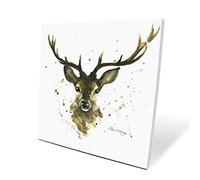 Tela Bree Merryn Stanley Box, 40 cm di lunghezza x 40 cm di larghezza