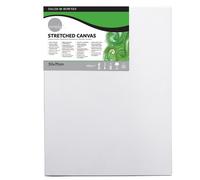 DALER ROWNEY - D51408507000 - Telaio telato - 50x70 cm - Daler Rowney - 85468 - Conf. da 1 Pz. - D51408507000