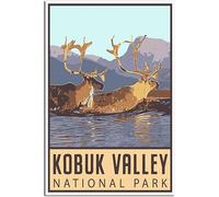 Tela Poster Kobuk Valley National Park Vintage Viaggio Poster Retro Wall Art Art Print Camera Decorazione Casa Decorazione Non incorniciato 50x75cm