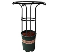 Telaio da arrampicata per - da giardino Supporto a traliccio Picchetto | Picchetti di supporto per piccoli tralicci per interni in vaso anelli di supporto per arrampicate di giardino
