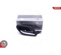 Telaio della maniglia della porta BMW 5 7