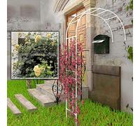 Telaio di supporto automatico per piante rampicanti - Arche Jardin, Arcade Rosier, bianco, dimensioni 120 x 240 cm, 200 x 240 cm, 220 x 240 cm, 240 x 240 cm, L 240 x A 240 cm, traliccio da giardino