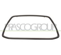 Cornice Griglia Grigio Scuro Opaca Per Mitsubishi Asx Dal 2012 Al 2015 Mb7182306