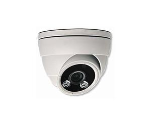 Telecamera Ip AvTech Dome IP PoE IR HD 2MP da Soffitto/Parete IP66 AVM420U