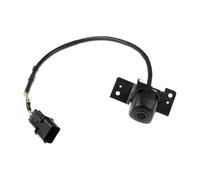 Telecamera Posteriore Auto 95760-D3001 Per Hyundai Per Tucson 3 2015-2018 Telecamera Assistenza Al Parcheggio Backup 95760D3000 95760-D3100 Telecamera Retrovisione