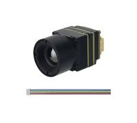 Telecamera termica 256/384/640 Telecamera termica da 9MM for droni FPV con interfaccia CVBS/USB Modulo telecamera micro termocamera(640x512 CVBS 9.1MM)