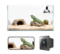 Telecamera WiFi 2K HD per rettili con visione notturna grandangolare a 140°, supporto in vetro antiriflesso, audio bidirezionale, avvisi di movimento AI e registrazione 24/7 per draghi barbuti, gechi