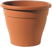 Telecom Icon 35 Conico Minerva Fiori in Vaso Tondo di plastica Color Terracotta Diametro 35 cm Altezza 28 cm
