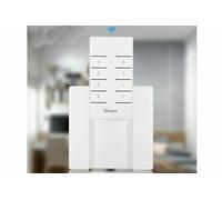 Telecomando Controller remoto SONOFF RM433 Google Alexa RF 433MHz + Supporto